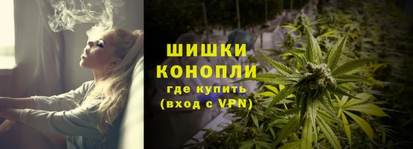 сатива Зерноград