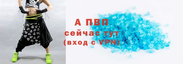сатива Зерноград