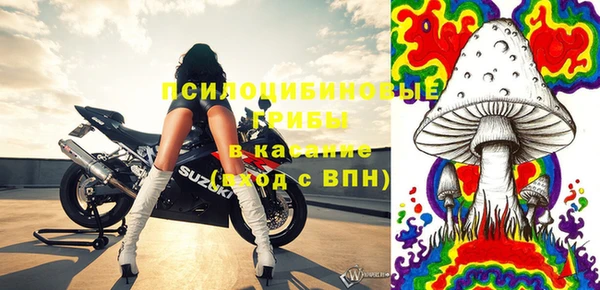 сатива Зерноград