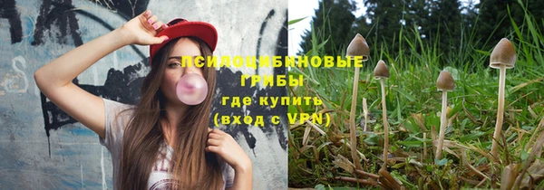 сатива Зерноград
